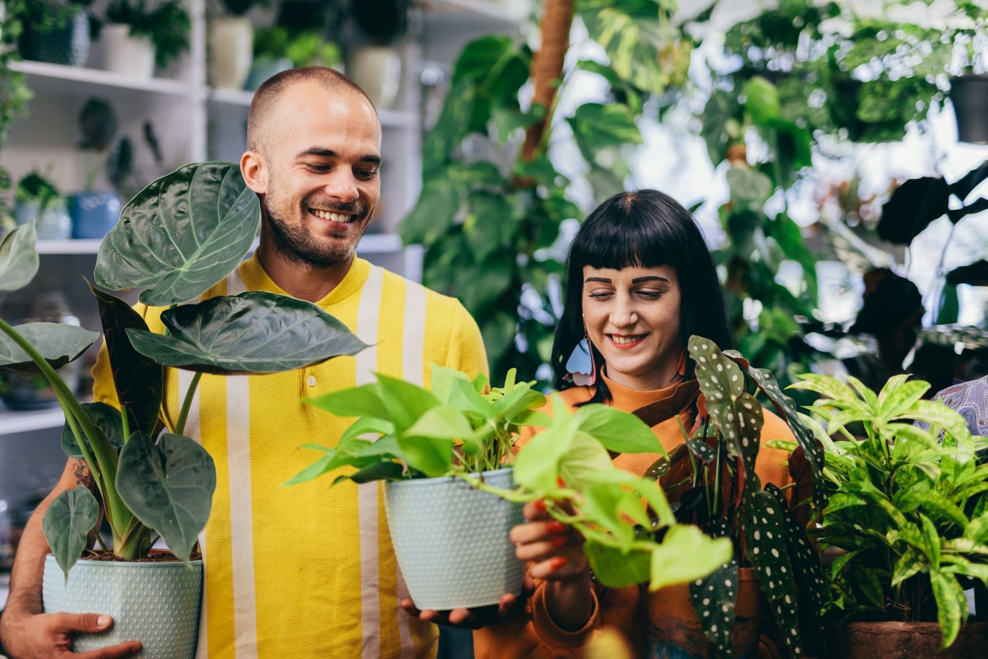 Why You Should Talk to Your Plants